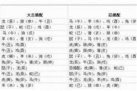 82属什么|1982年属什么命 1982年属相的五行是什么